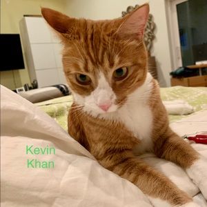 Meet your Posher, Azima